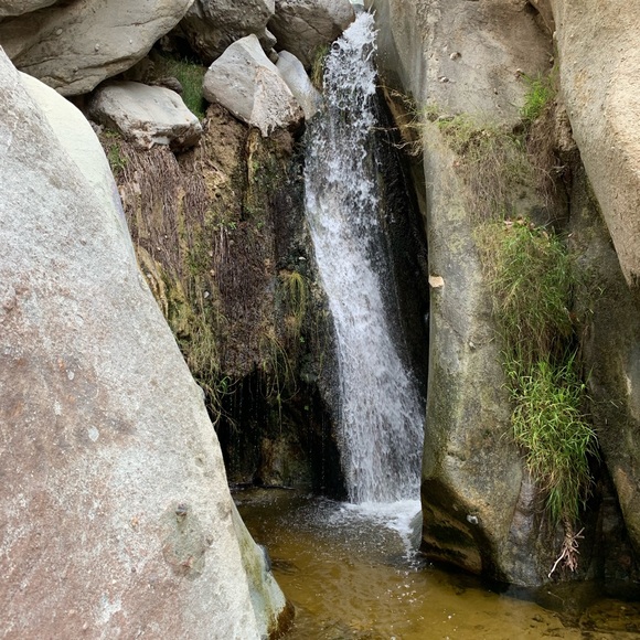 Meet your Posher, Josh - Picture 2 of 8